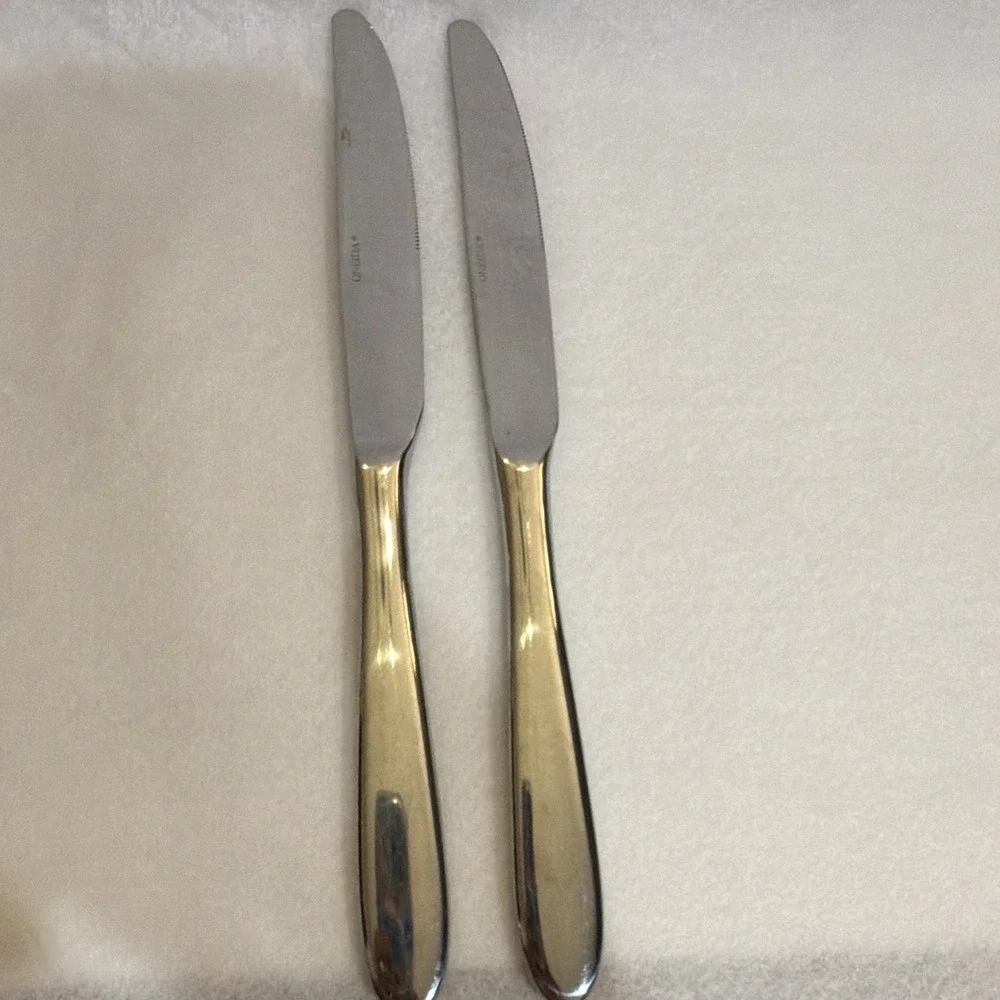 Oneida Stainless Steel Dinner Knives Set of 2 Silver Solid 9 1/2 in